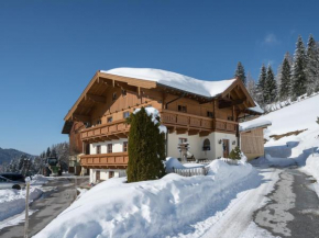 Cozy apartment near the ski area